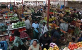 1-Day Arusha City Tour and Local Market Visit