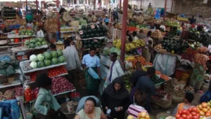 1-Day Arusha City Tour and Local Market Visit