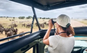 1-Day Tarangire & Maasai Cultural Combo