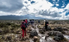 1-Day Shira Plateau Kilimanjaro Hike