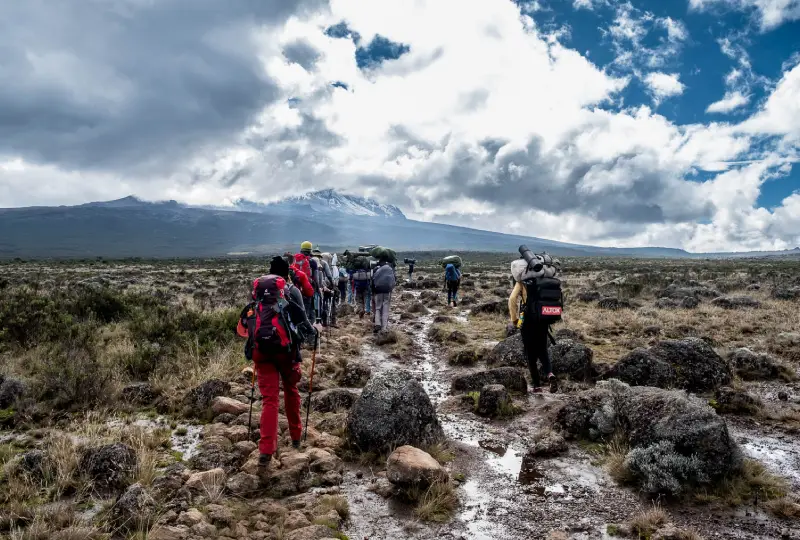 1-Day Shira Plateau Kilimanjaro Hike