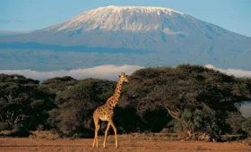 9-Day Tanzania Lodge Safari and Kilimanjaro Foothills