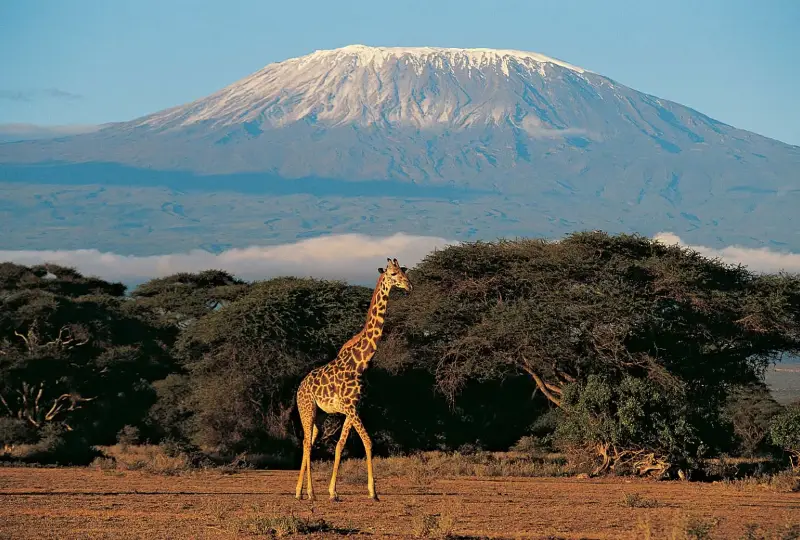 9-Day Tanzania Lodge Safari and Kilimanjaro Foothills