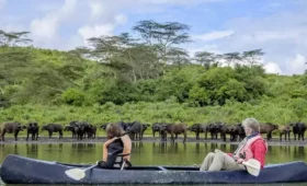 1-Day Arusha National Park and Canoeing Safari