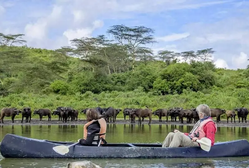 1-Day Arusha National Park and Canoeing Safari