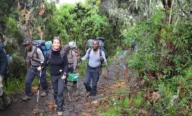 1-Day Kilimanjaro Foothills Nature Walk