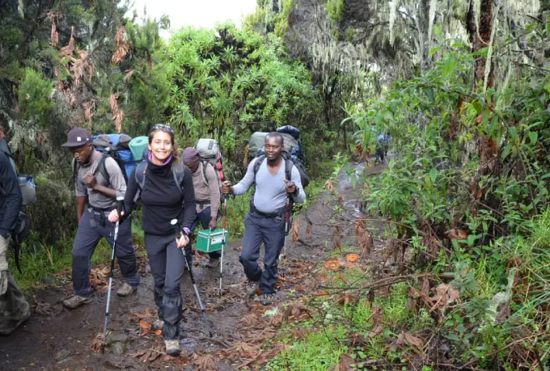 1-Day Kilimanjaro Foothills Nature Walk