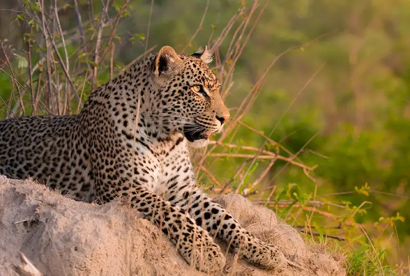 10-Day Tanzania Grand Tour Itinerary