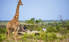 8-Day Tanzania Classic Tour Itinerary
