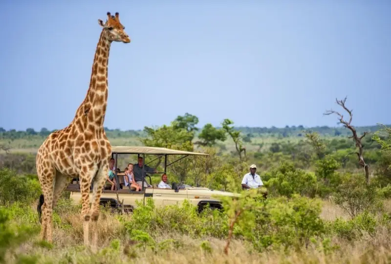 8-Day Tanzania Classic Tour Itinerary
