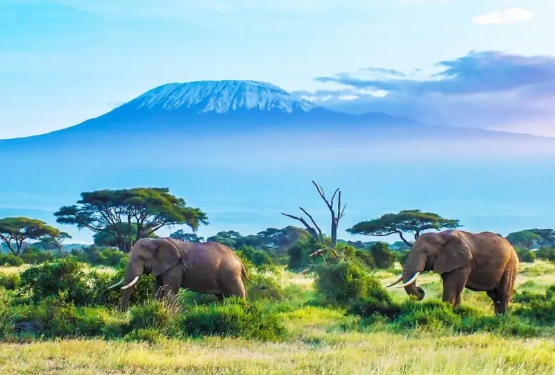 10-Day Tanzania Tour Including Kilimanjaro & Zanzibar