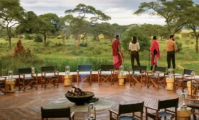 10-Day Tanzania Lodge Safari and Cultural Encounters