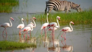 10-Day Tanzania and Kenya Safari Itinerary