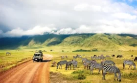 7-Day Tanzania and Kenya Combined Safari