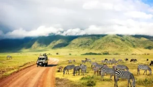 7-Day Tanzania and Kenya Combined Safari