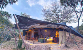 Nyerere (Selous) National Park Camping: Untamed Safari Experience
