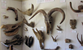 Olduvai Gorge, Responsible Tourism and Cultural Respect