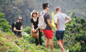 Organic farm tours in Kilimanjaro