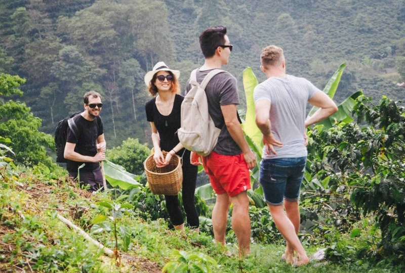 Organic farm tours in Kilimanjaro