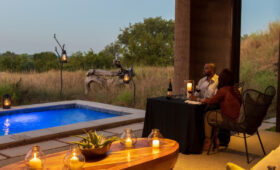 Private Game Drives and Bush Dinners: