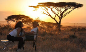 Romantic Tanzanian Safari for Couples