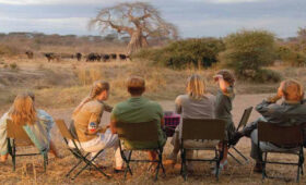 Ruaha National Park Camping Safaris: Tanzania’s Hidden Wilderness