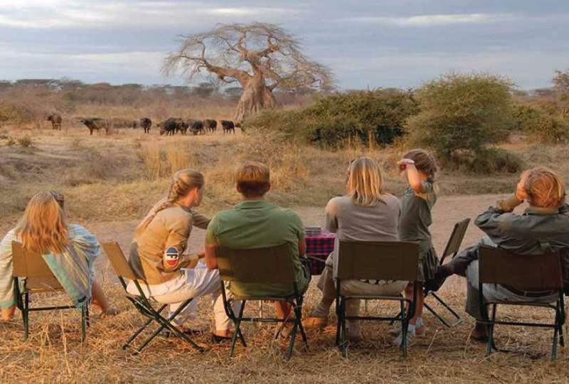 Ruaha National Park Camping Safaris: Tanzania’s Hidden Wilderness