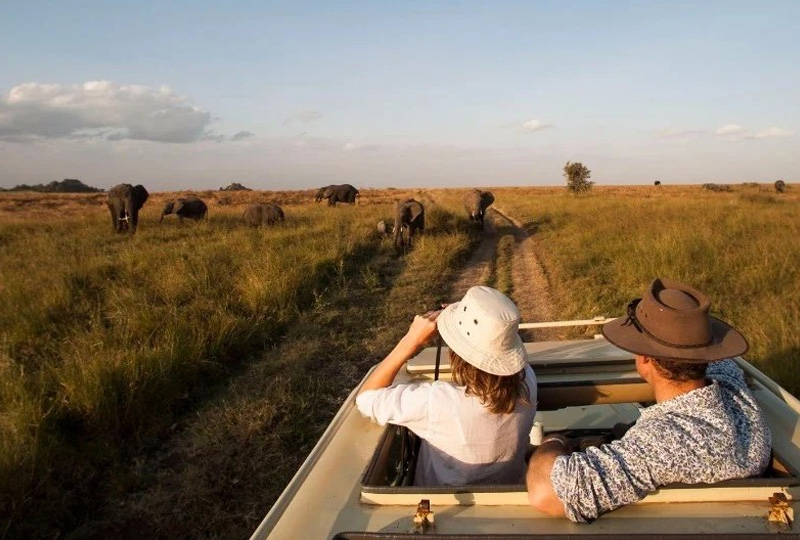 Serengeti Honeymoon Safaris
