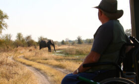 Serengeti Safari for Wheelchair Travelers