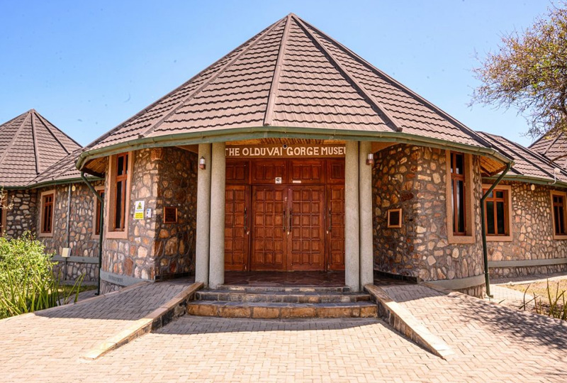 Tanzania’s Early Human History at Olduvai Gorge