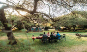Top 10 Reasons to Choose a Camping Safari