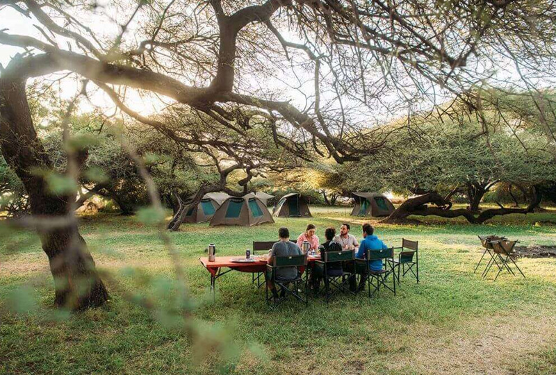 Top 10 Reasons to Choose a Camping Safari