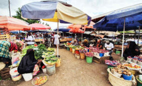 Visit local markets in Moshi