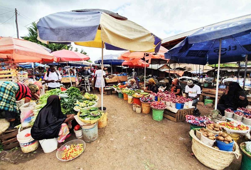 Visit local markets in Moshi
