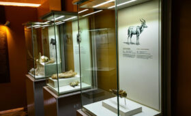 Visiting Olduvai Gorge on a Safari