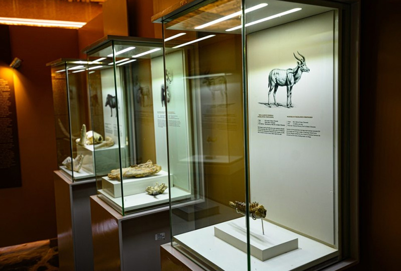 Visiting Olduvai Gorge on a Safari