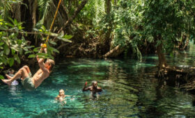 Waterfall picnics in Kilimanjaro