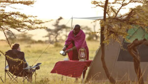 What Makes Tanzania Camping Safaris So Unique