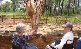 What Makes a Safari Lodge Truly Accessible