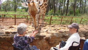 What Makes a Safari Lodge Truly Accessible