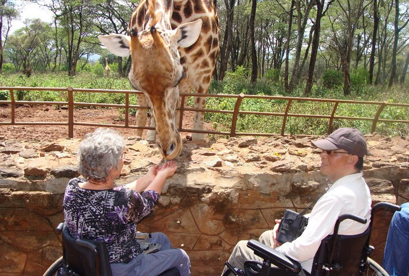What Makes a Safari Lodge Truly Accessible