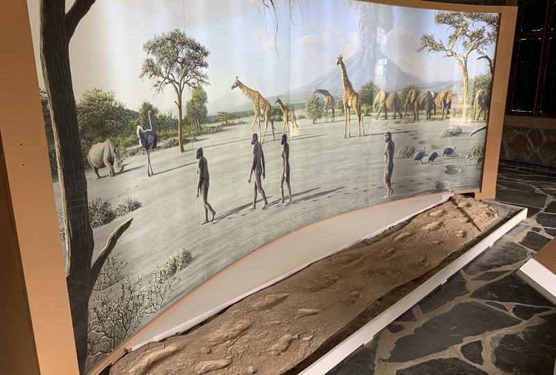 What to Expect on a Safari to Olduvai Gorge