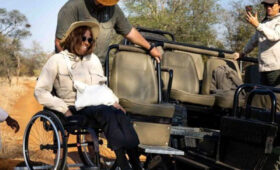 When to Visit Tanzania for the Most Accessible Safari