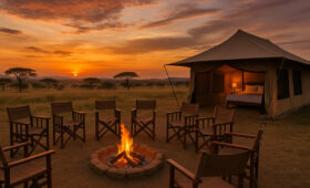 1. Why Tanzania is Africa’s Top Destination for Camping Safaris
