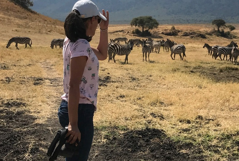 2026 Serengeti Safari Itinerary-What to Expect and When to Go