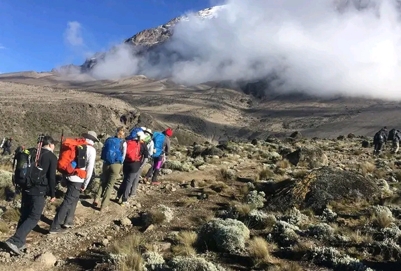 5 Days Marangu Route Price for First-Time Climbers