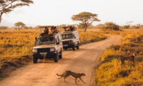 Best Time to Visit Tanzania After the 2025 Elections