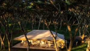 Exclusive Tented Camps for Couples in Tanzania 2026