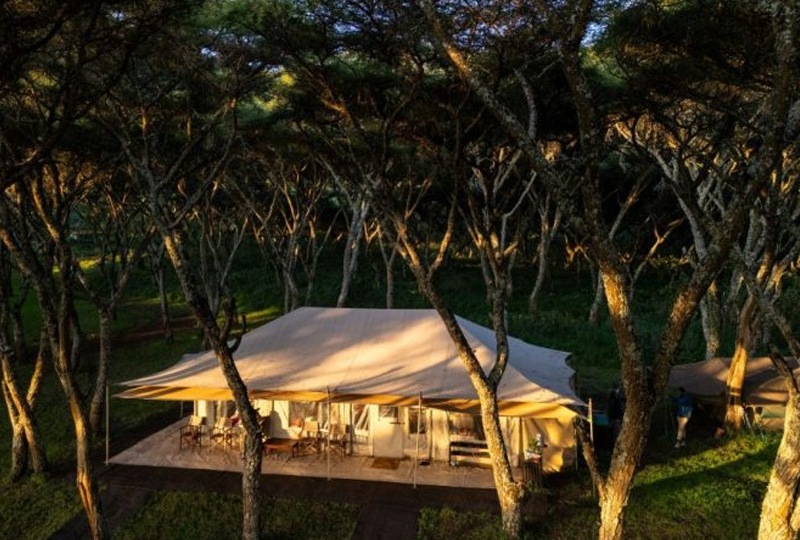 Exclusive Tented Camps for Couples in Tanzania 2026