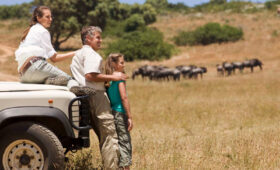 Family Safari Holidays in Tanzania 2026 – Complete Guide